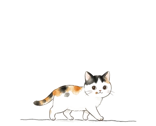 三毛猫のあんずが、こちらを見ながら歩いてくる水彩画